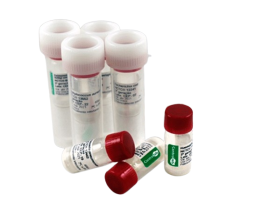 Cepa Liofilizada Acinetobacter Baumannii - Atcc 19606 - 1 Ml